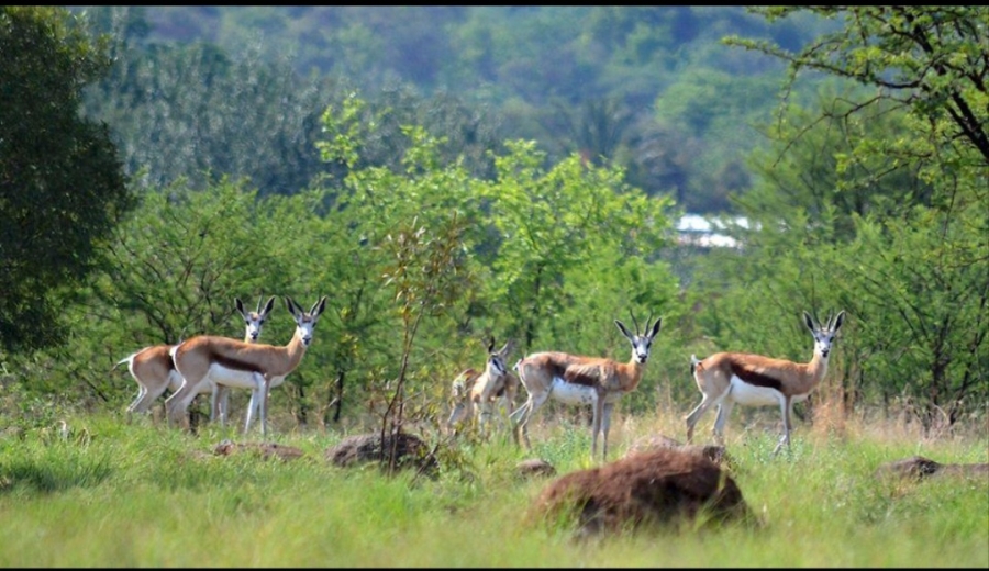 0 Bedroom Property for Sale in La Camargue Private Country Estate North West